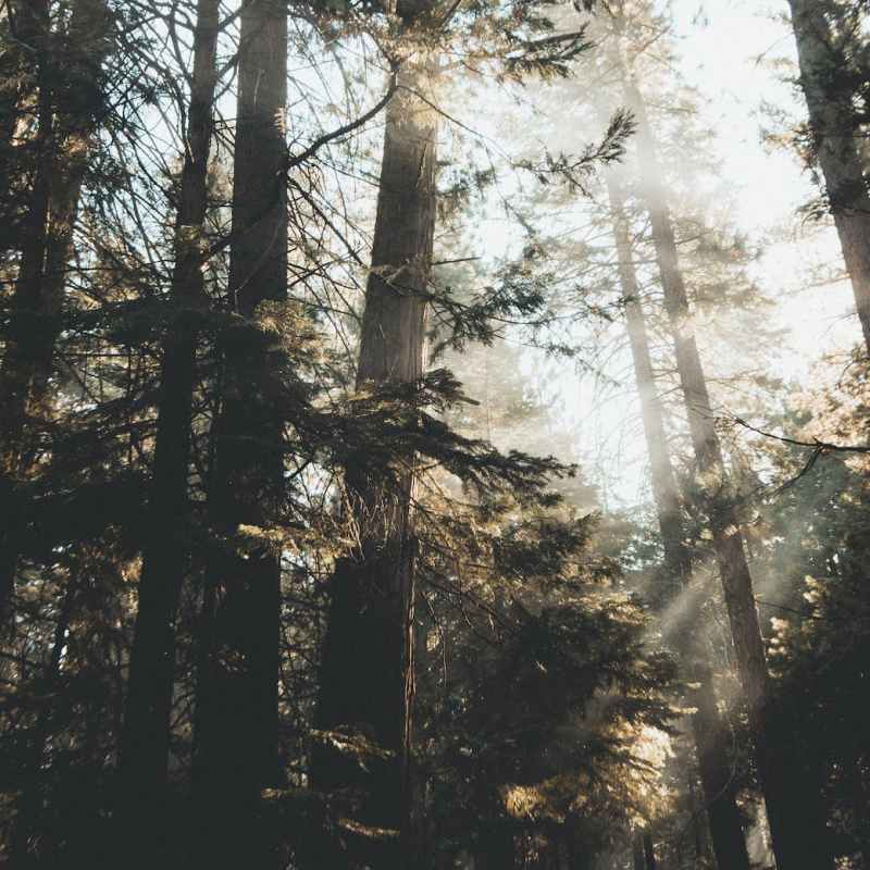 Death Doesn’t Always Mean the End. Sometimes Dying is Really&nbsp;Beginning.